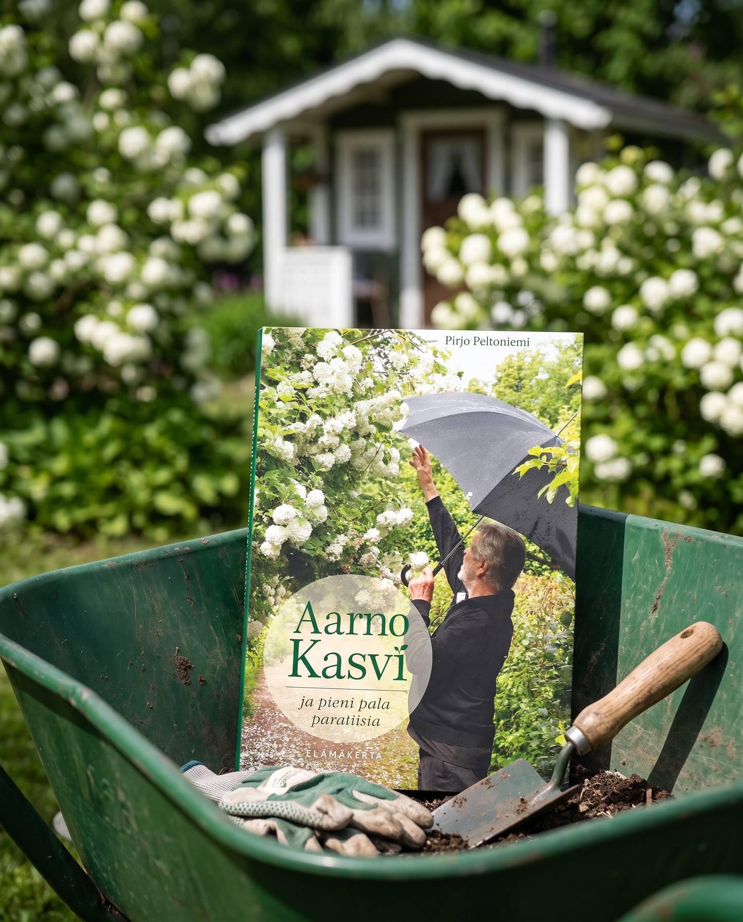 Kuvassa on Pirjo Peltoniemen kirja Aarno Kasvi ja pieni pala paratiisia vihreässä kottikärryssä. Kirjan vieressä on puutarhahanskat ja istutuslapio, ja taustalla näkyy puutarhaa.